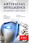 Artificial Intelligence: Law and Policy Implications