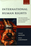 International Human Rights (The Successor to International Human Rights in Context : Law, Politics and Morals)
